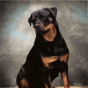 Meet your Posher, Patricia